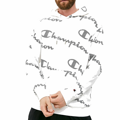 картинка Hooded Sweatshirt от интернет магазина